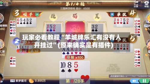 玩家必看教程“羊城牌乐汇有没有人开挂过”(原来确实是有插件)-第2张图片