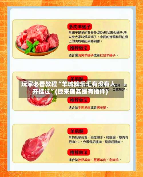 玩家必看教程“羊城牌乐汇有没有人开挂过	”(原来确实是有插件)-第3张图片