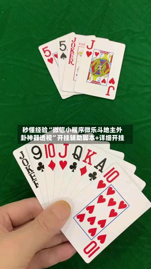 秒懂经验“微信小程序微乐斗地主外卦神器透视	”开挂辅助脚本+详细开挂-第1张图片