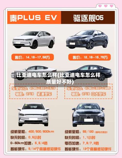比亚迪电车怎么样(比亚迪电车怎么样质量好不好)-第1张图片