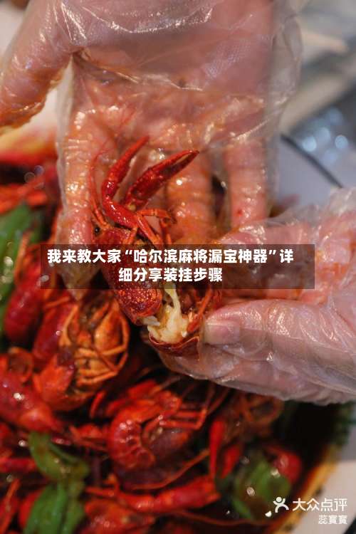 我来教大家“哈尔滨麻将漏宝神器”详细分享装挂步骤-第1张图片