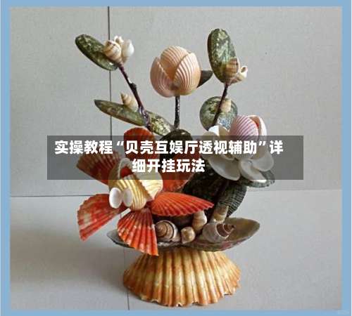 实操教程“贝壳互娱厅透视辅助”详细开挂玩法-第1张图片