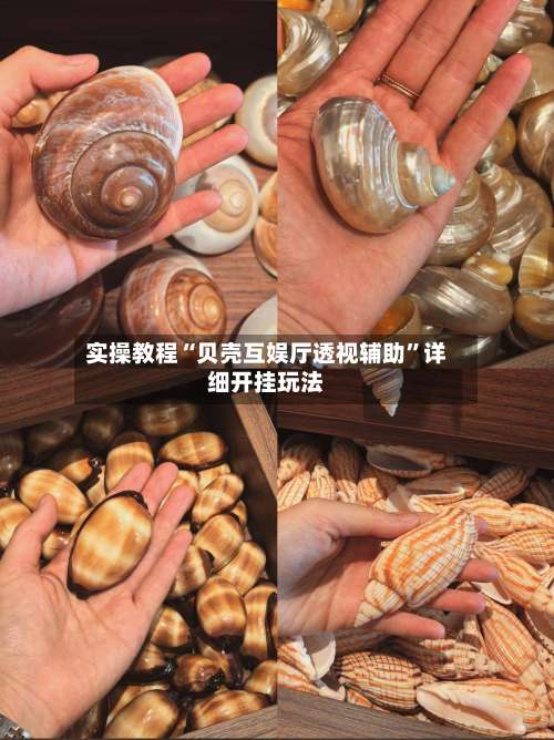 实操教程“贝壳互娱厅透视辅助”详细开挂玩法-第3张图片