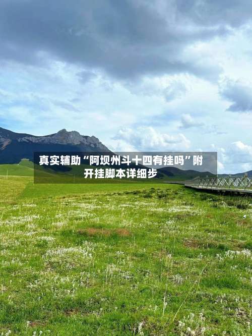 真实辅助“阿坝州斗十四有挂吗	”附开挂脚本详细步-第1张图片