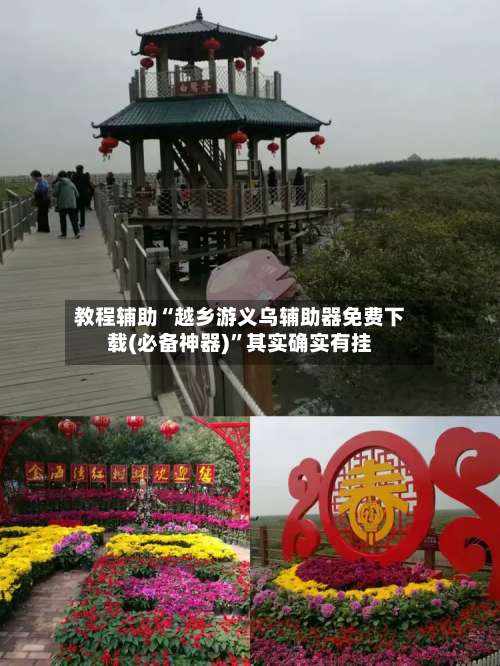 教程辅助“越乡游义乌辅助器免费下载(必备神器)”其实确实有挂-第1张图片