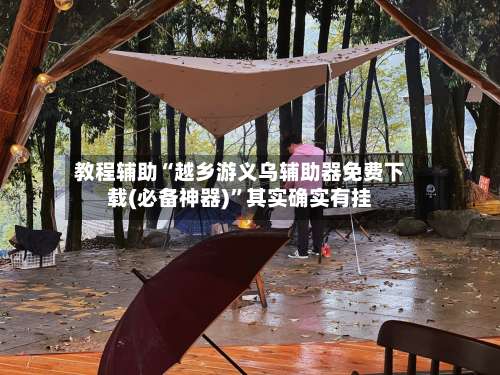 教程辅助“越乡游义乌辅助器免费下载(必备神器)”其实确实有挂-第3张图片