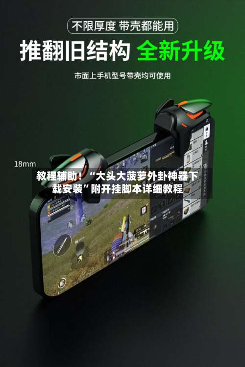 教程辅助！“大头大菠萝外卦神器下载安装”附开挂脚本详细教程-第1张图片