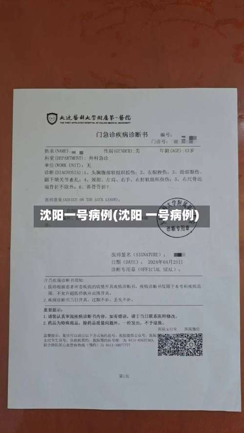 沈阳一号病例(沈阳 一号病例)-第3张图片