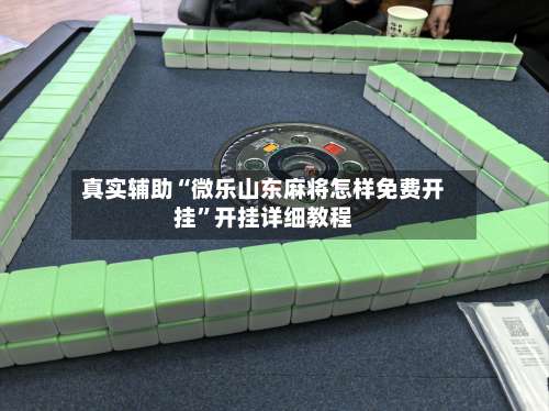真实辅助“微乐山东麻将怎样免费开挂”开挂详细教程-第1张图片