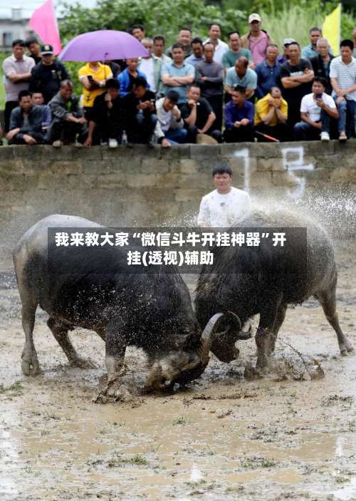 我来教大家“微信斗牛开挂神器”开挂(透视)辅助-第2张图片