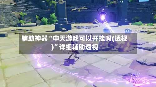 辅助神器“中天游戏可以开挂吗(透视)”详细辅助透视-第2张图片