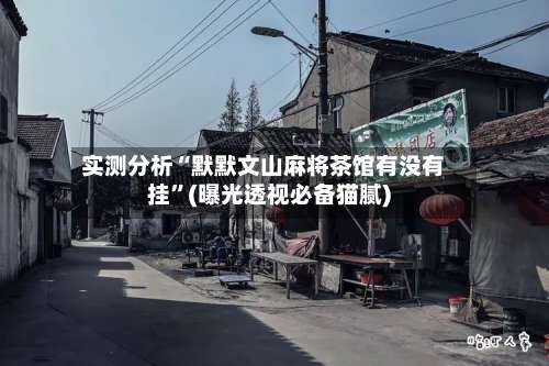 实测分析“默默文山麻将茶馆有没有挂”(曝光透视必备猫腻)-第1张图片