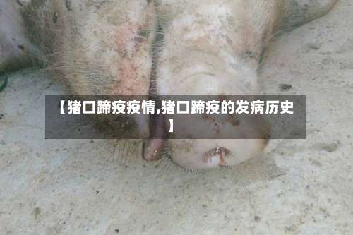 【猪口蹄疫疫情,猪口蹄疫的发病历史】-第3张图片