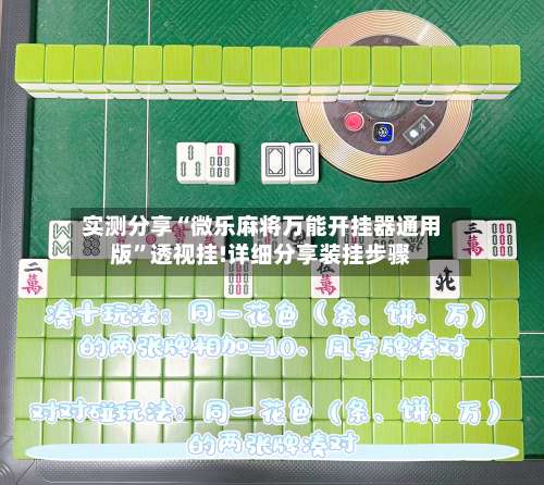 实测分享“微乐麻将万能开挂器通用版”透视挂!详细分享装挂步骤-第3张图片