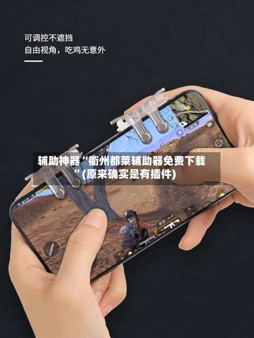 辅助神器“衢州都莱辅助器免费下载”(原来确实是有插件)-第1张图片