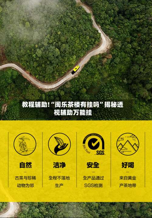 教程辅助!“闽乐茶楼有挂吗	”揭秘透视辅助万能挂-第3张图片