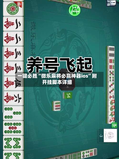 一键必胜“微乐麻将必赢神器ios	”附开挂脚本详细-第1张图片