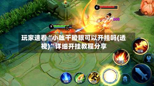 玩家速看“小吆干瞪眼可以开挂吗(透视)”详细开挂教程分享-第2张图片