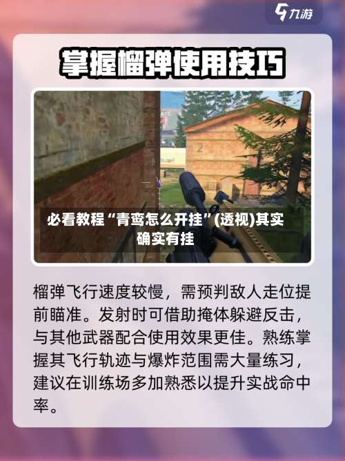 必看教程“青鸾怎么开挂”(透视)其实确实有挂-第1张图片