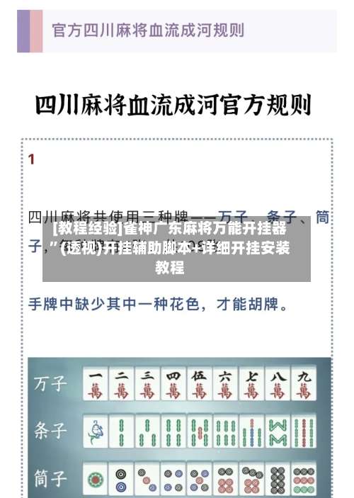 [教程经验]雀神广东麻将万能开挂器”(透视)开挂辅助脚本+详细开挂安装教程-第1张图片