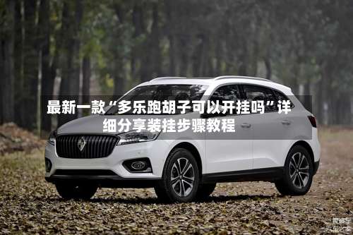 最新一款“多乐跑胡子可以开挂吗	”详细分享装挂步骤教程-第2张图片