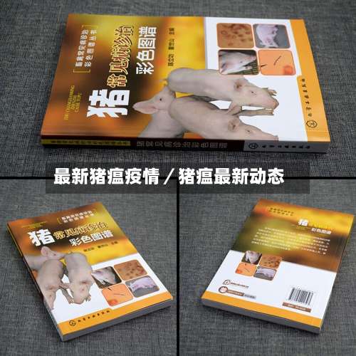 最新猪瘟疫情／猪瘟最新动态-第2张图片