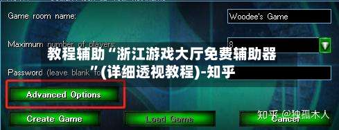 教程辅助“浙江游戏大厅免费辅助器”(详细透视教程)-知乎-第2张图片