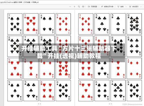 开挂辅助工具“方片十三张辅助器下载	”开挂(透视)辅助教程-第2张图片