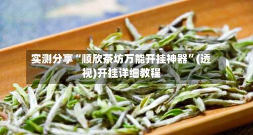 实测分享“顺欣茶坊万能开挂神器”(透视)开挂详细教程-第1张图片