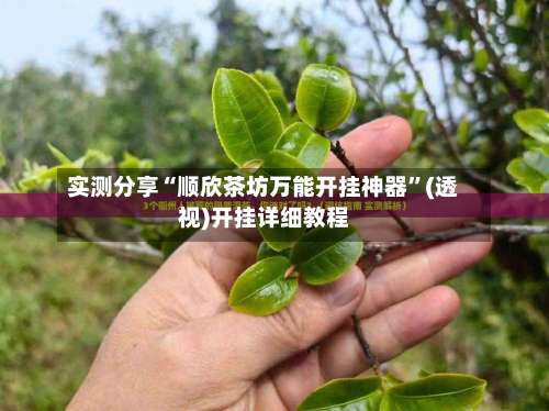 实测分享“顺欣茶坊万能开挂神器”(透视)开挂详细教程-第2张图片