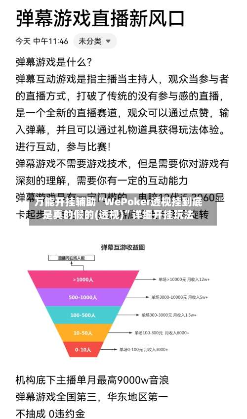 万能开挂辅助“WePoker透视挂到底是真的假的(透视)”详细开挂玩法-第2张图片