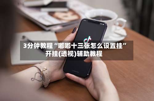 3分钟教程“嘟嘟十三张怎么设置挂”开挂(透视)辅助教程-第2张图片