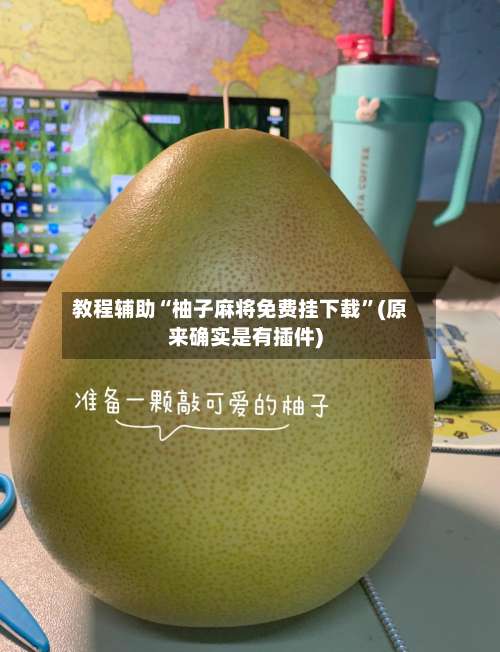 教程辅助“柚子麻将免费挂下载”(原来确实是有插件)-第3张图片