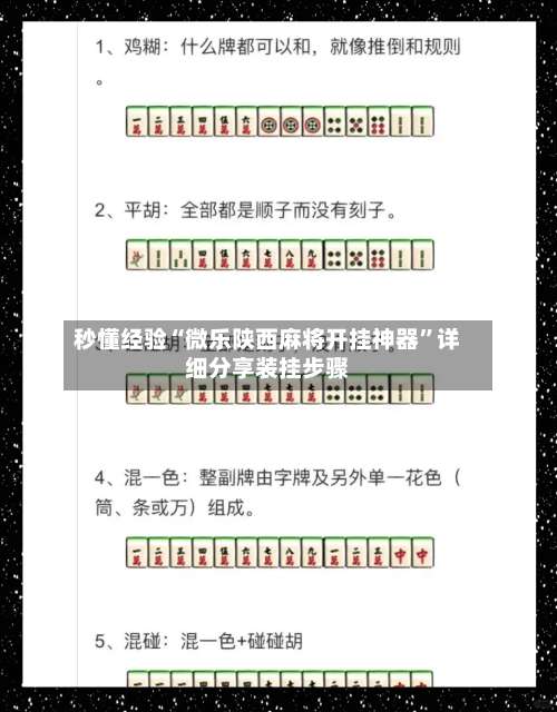 秒懂经验“微乐陕西麻将开挂神器	”详细分享装挂步骤-第2张图片