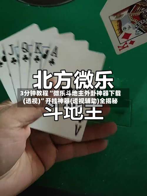 3分钟教程“微乐斗地主外卦神器下载(透视)”开挂神器{透视辅助}全揭秘-第2张图片