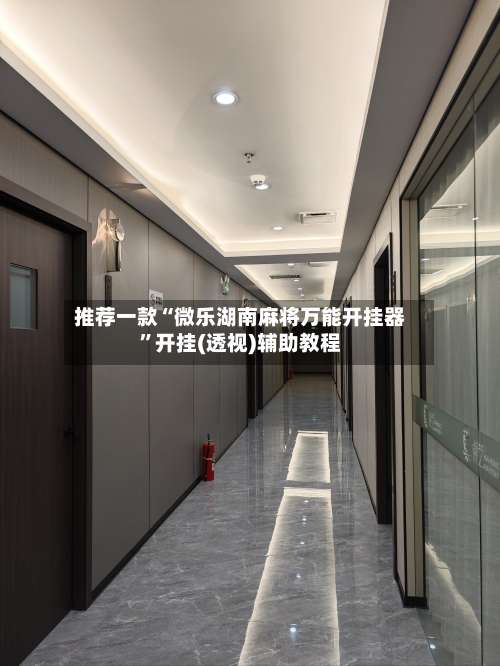 推荐一款“微乐湖南麻将万能开挂器”开挂(透视)辅助教程-第1张图片