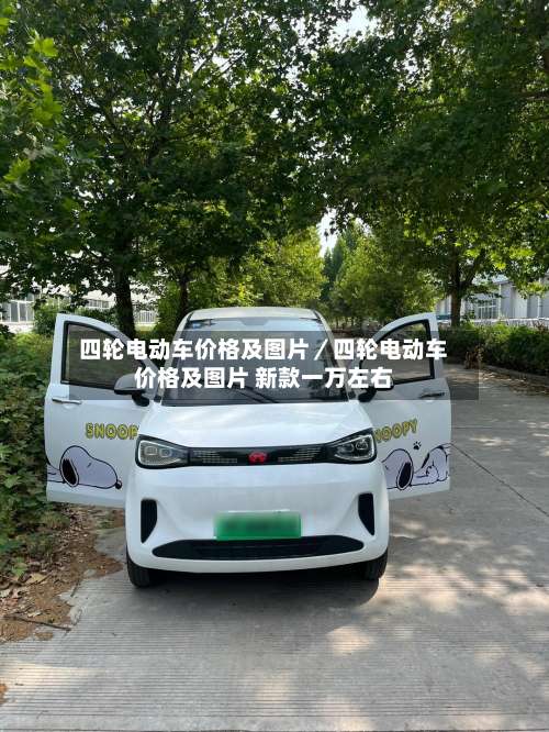 四轮电动车价格及图片／四轮电动车价格及图片 新款一万左右-第3张图片
