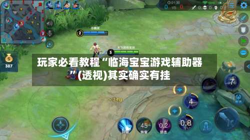 玩家必看教程“临海宝宝游戏辅助器”(透视)其实确实有挂-第3张图片