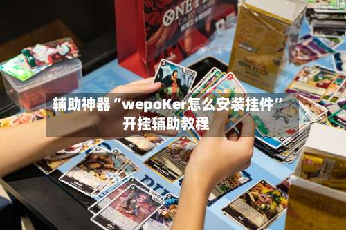 辅助神器“wepoKer怎么安装挂件”开挂辅助教程-第1张图片