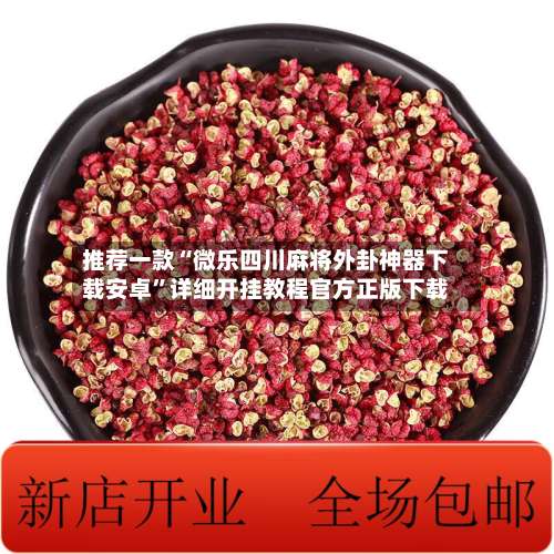 推荐一款“微乐四川麻将外卦神器下载安卓	”详细开挂教程官方正版下载-第2张图片