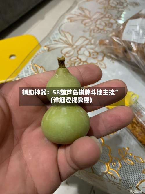 辅助神器：58葫芦岛棋牌斗地主挂	”(详细透视教程)-第1张图片