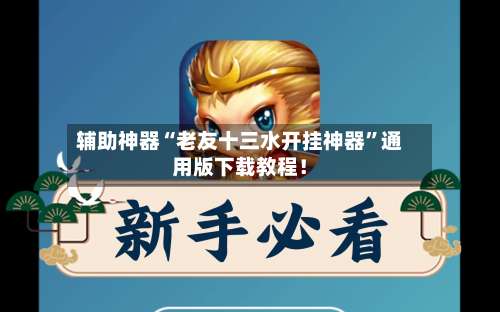 辅助神器“老友十三水开挂神器	”通用版下载教程！-第3张图片