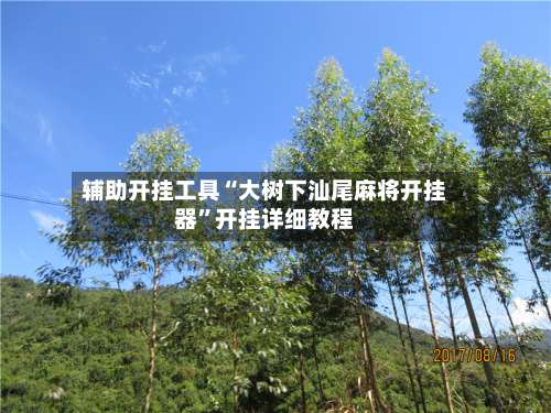 辅助开挂工具“大树下汕尾麻将开挂器”开挂详细教程-第1张图片