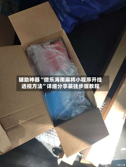 辅助神器“微乐海南麻将小程序开挂透视方法	”详细分享装挂步骤教程-第2张图片