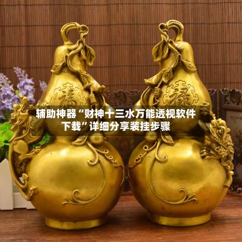 辅助神器“财神十三水万能透视软件下载”详细分享装挂步骤-第3张图片