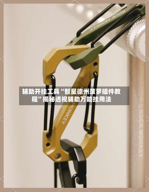 辅助开挂工具“智星德州菠萝插件教程	”揭秘透视辅助万能挂用法-第2张图片