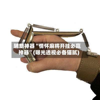 辅助神器“情怀麻将开挂必赢神器”(曝光透视必备猫腻)-第1张图片