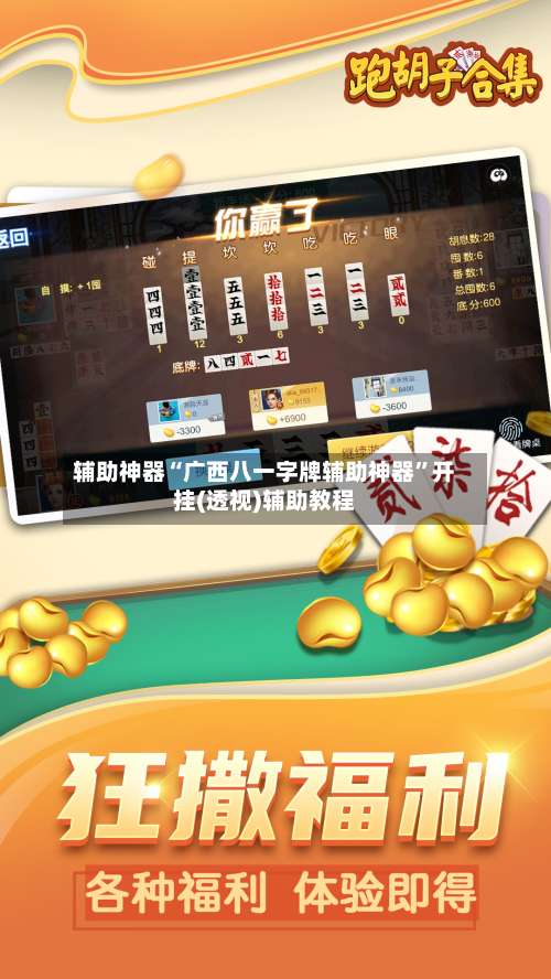 辅助神器“广西八一字牌辅助神器”开挂(透视)辅助教程-第2张图片