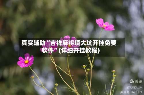 真实辅助“吉祥麻将填大坑开挂免费软件”(详细开挂教程)-第3张图片