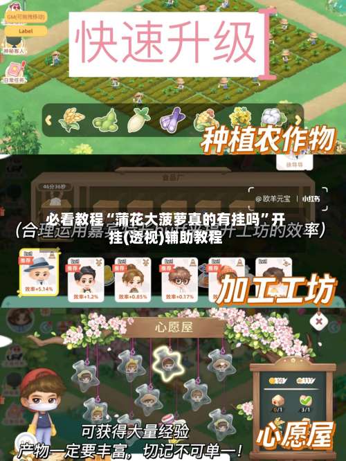 必看教程“蒲花大菠萝真的有挂吗	”开挂(透视)辅助教程-第1张图片